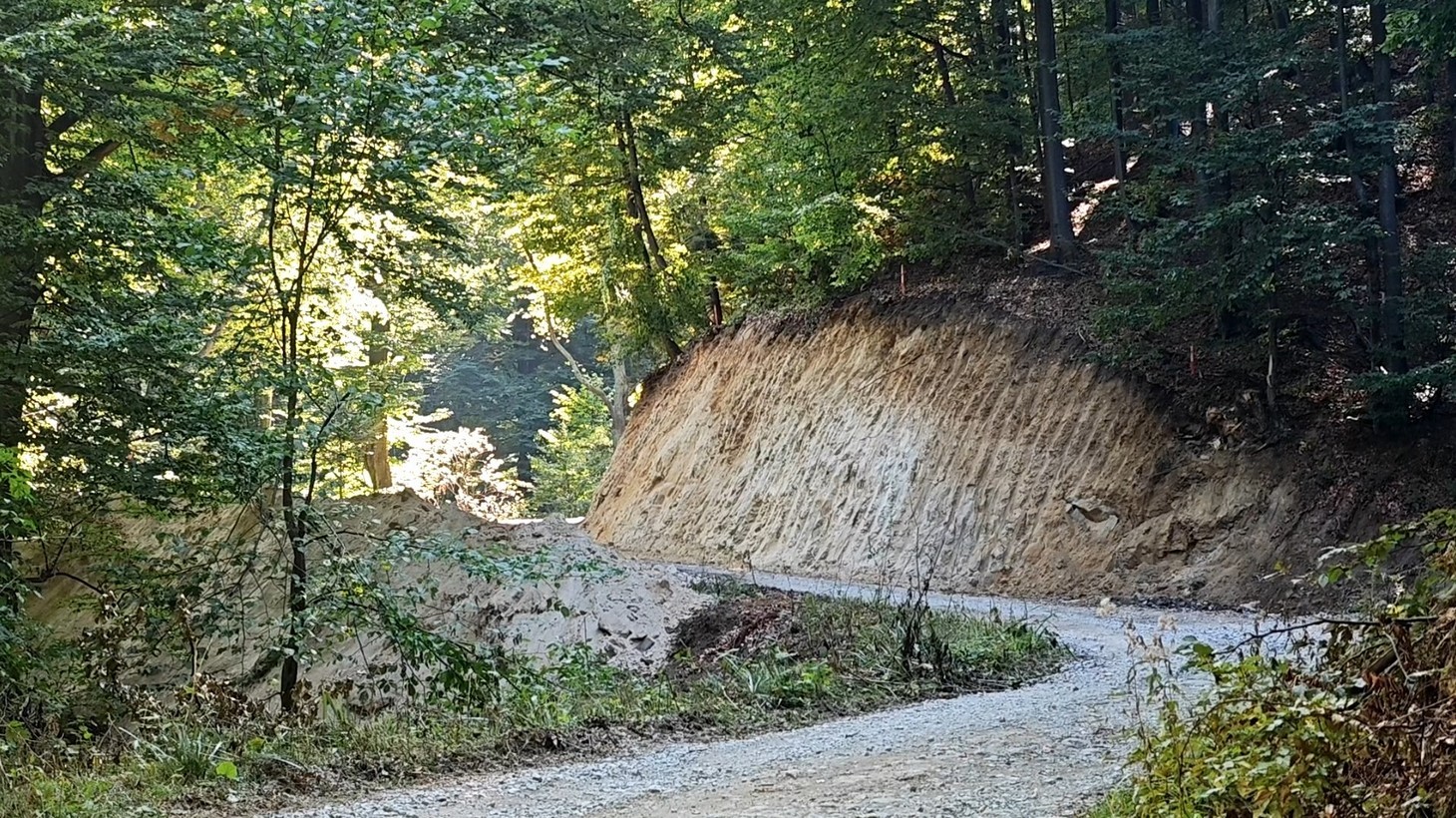 radaljski put (19)