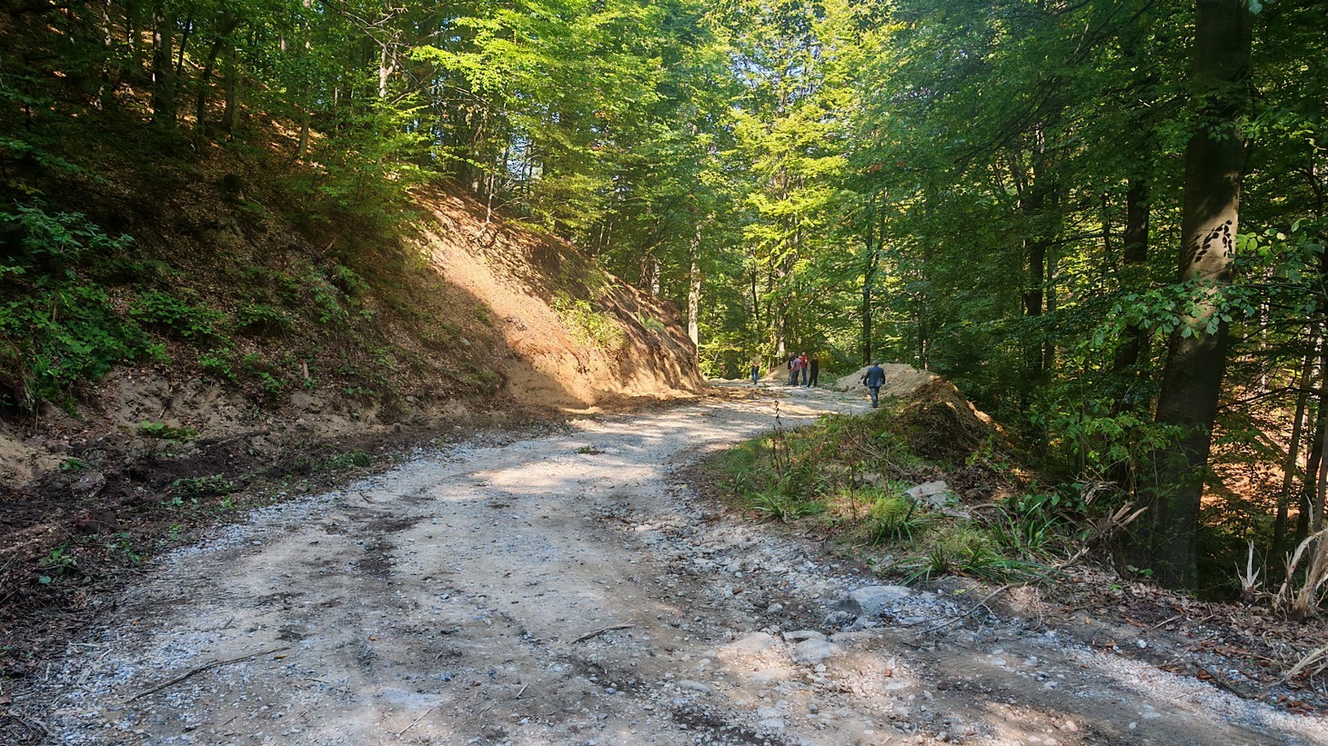 radaljski put (2)