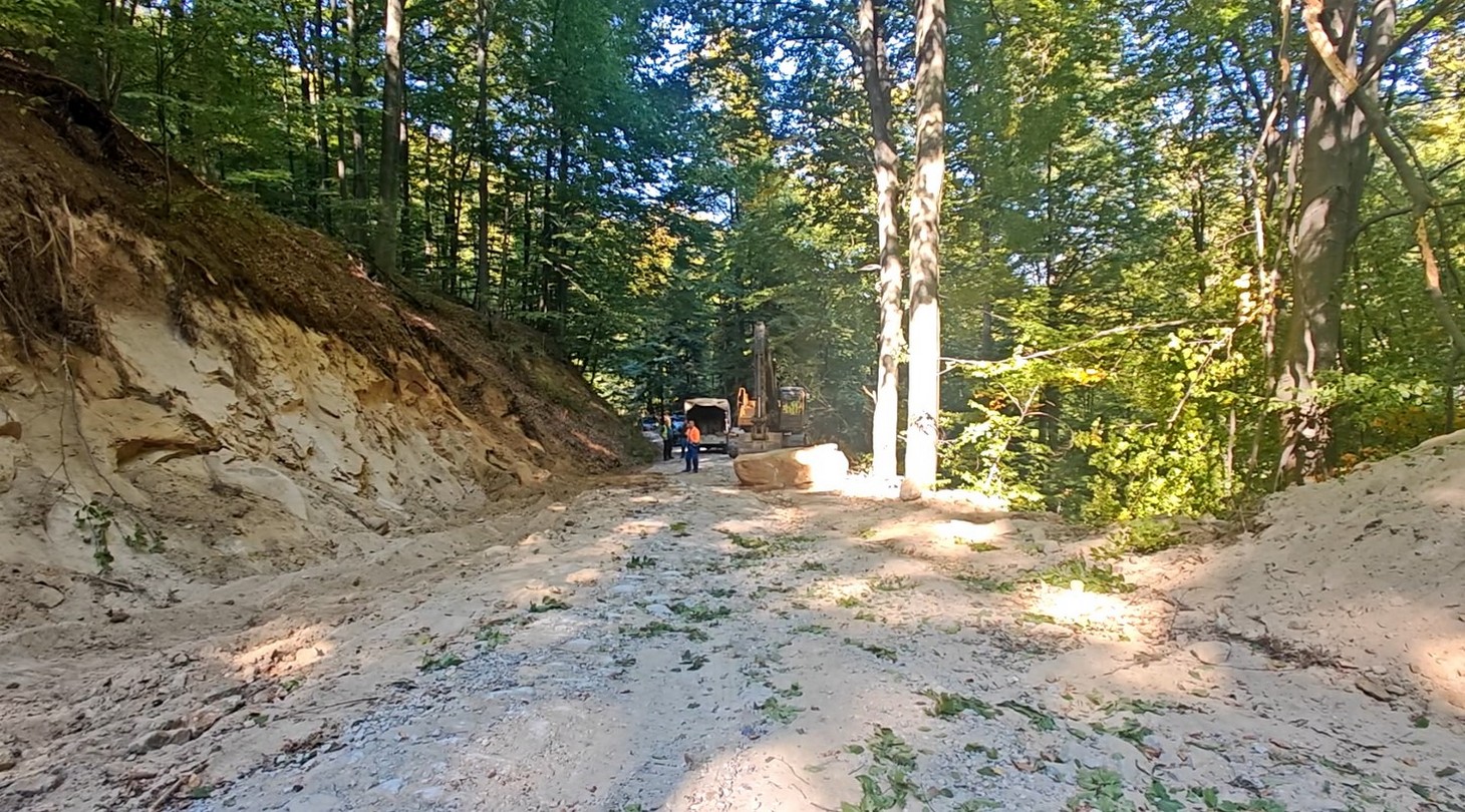 radaljski put (21)