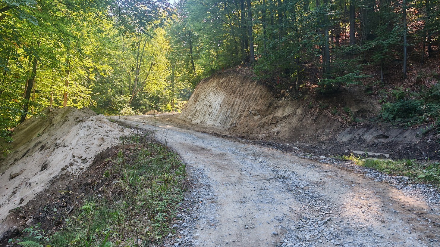 radaljski put (5)